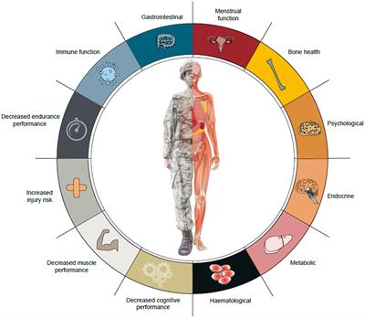 Energy Deficiency in Soldiers: The Risk of the Athlete Triad and Relative Energy Deficiency in Sport Syndromes in the Military